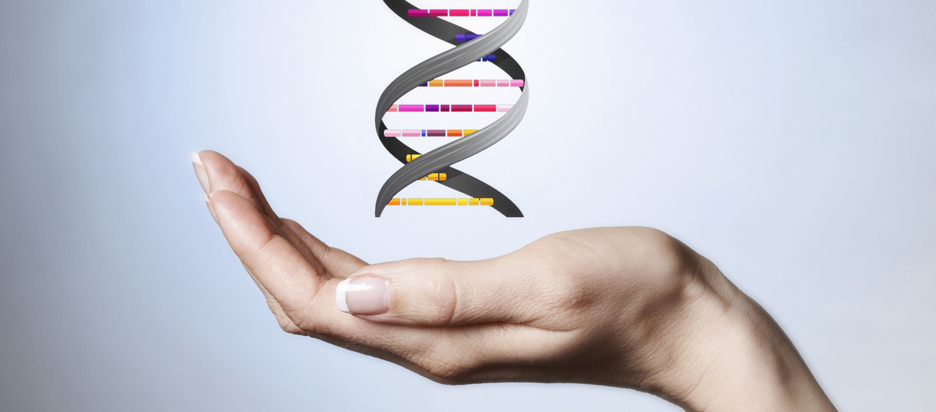 xcg Cultural Assessment – DNA Spirale